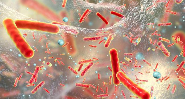 Asuntos intestinales: navegando por las maravillas de tu microbioma