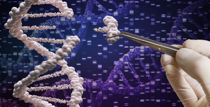 Decodificándote: Navegando los secretos del genoma humano